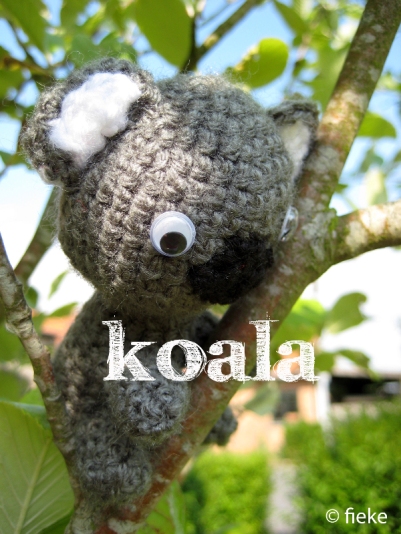 21 - Koala - fiekefatjerietjes